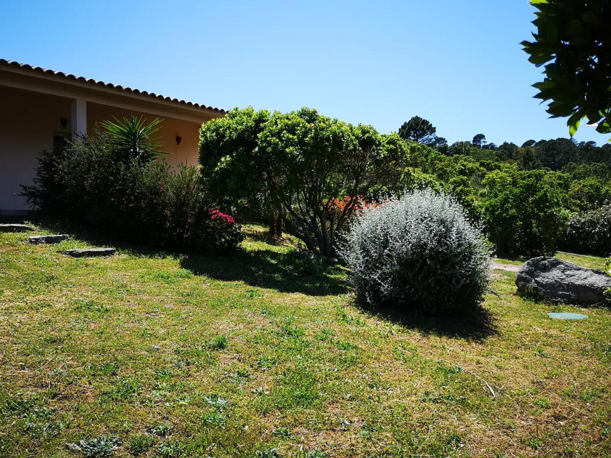 Appartements Avec Jardin Entre Porto-Vecchio Et Figari - Casa Mattiste Sotta Eksteriør bilde